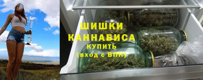 блэк спрут ТОР  Новоалтайск  Шишки марихуана White Widow  хочу наркоту 